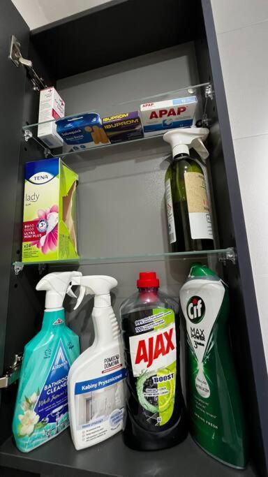 Gajowa Apartament 초르조프 외부 사진